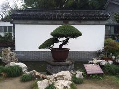 -水绘园