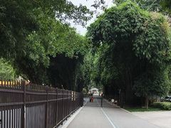 -重庆动物园·东二门售票处