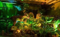 -恐龙探索乐园(磁器口店)