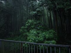 -午潮山国家森林公园
