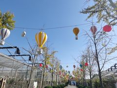 -菊园百果园
