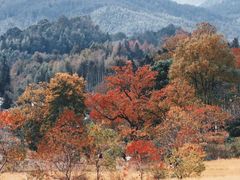 -塔川景区