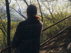 -吉林市朱雀山国家森林公园