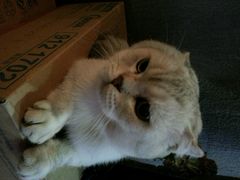 android_upload_pic-MIKAKU(万达广场上海宝山店)