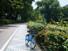 -云栖竹径