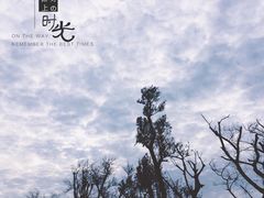 -江南天池