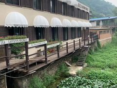 -Local泰莲庭(虹鳟鱼店)