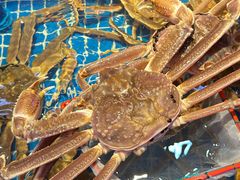 -驻海渔市(置信店)