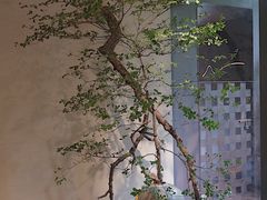 -物心空间