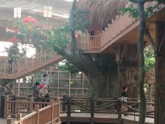 -南宫五洲植物乐园