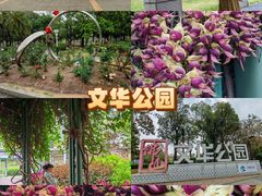 -文华公园(禅城区)