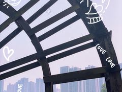 -重庆彩云湖湿地公园