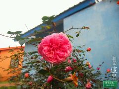 android_upload_pic-汕头莲花山度假村温泉