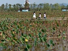-漩门湾国家湿地公园