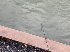 -DGE季风钓虾营地·团建·聚会