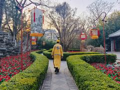 -白家大院·王府宫廷菜(苏州街店)