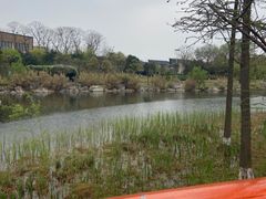 -桂溪生态公园