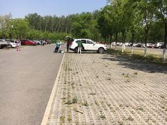 -东郊湿地公园