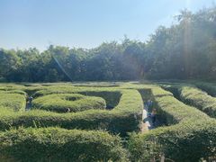 -大屏嶂森林公园