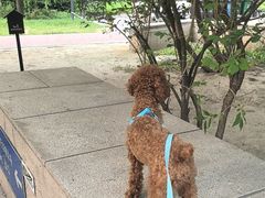 -天宠宠物医院24小时·急重症诊疗中心·全科·腔镜特色(和平分院)