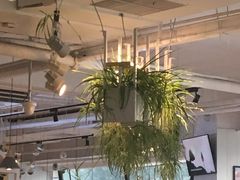 大堂-嘉和一品粥(方庄店)