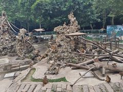 -成都动物园