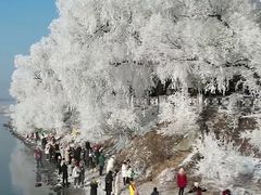 -雾凇岛