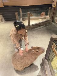 -造物庄园 萌宠纪(苏州湾歌林公园店)
