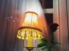 -花·fleur古董西餐厅(西城夜未央店)