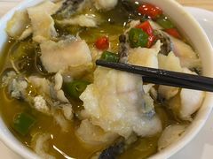 -七食九号食堂(东丽空港店)