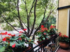 -玫瑰厅上海菜(兴国路店)