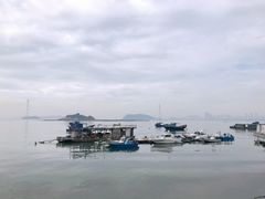 -海沧湾公园