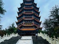 -铁山坪森林公园