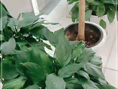 -上名堂·鱼头好吃(体育场路店)