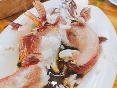 东星斑-聚鲜阁海鲜美食城(香水湾店)