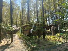 -林间山庄