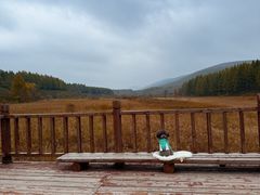 -塞罕坝国家级自然保护区