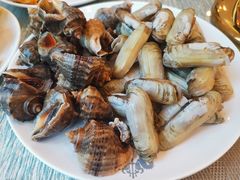 蛏子-海天一色海景自助餐厅(西港花园店)