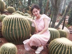 -南通洲际绿博园