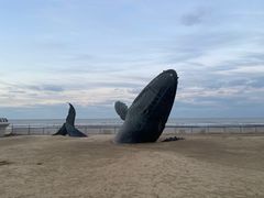 -烟台金沙滩海滨公园