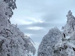 -峨眉山风景名胜区