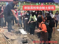 -荔枝红五号农庄