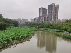 -金山公园
