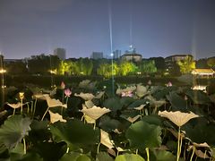 -西海子公园