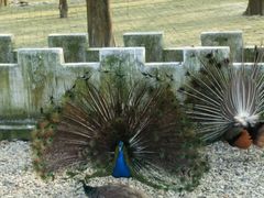 -南京金牛湖风景区