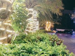 -三亚亚龙湾金棕榈度假酒店