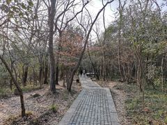 -紫金山索道-售票处