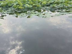 -西湖游船