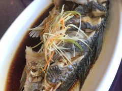 -清雅轩·清真菜·春饼•烤鸭(滑翔店)