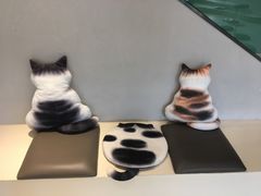 -飞行喵MR PILOT|猫舍·猫咖(静安大融城店)